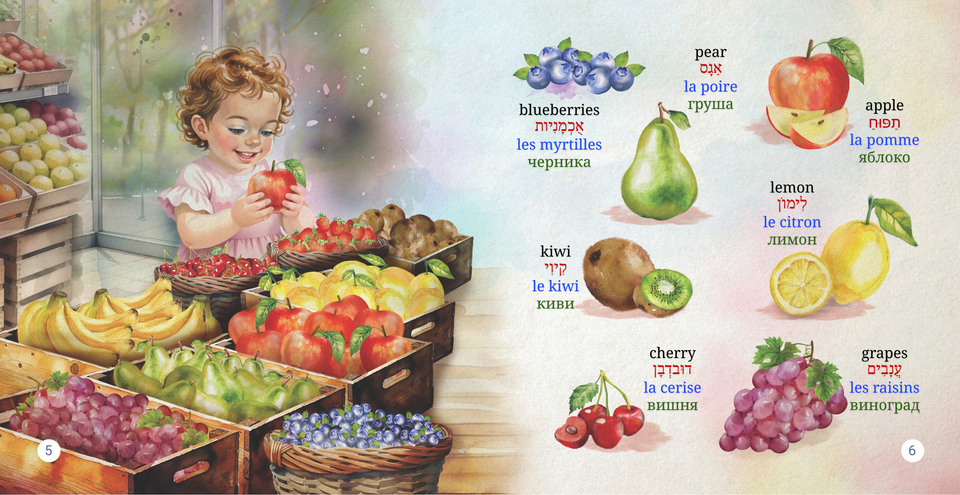 Young Linguist multilingual board book